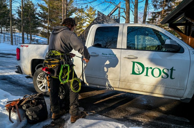 Winter tree service arborist